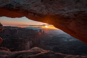 Embracing the Wild: Unleashing the Adventurer Within
